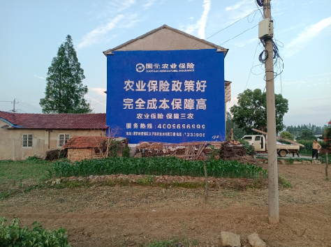 西平墙体广告为何受追捧?